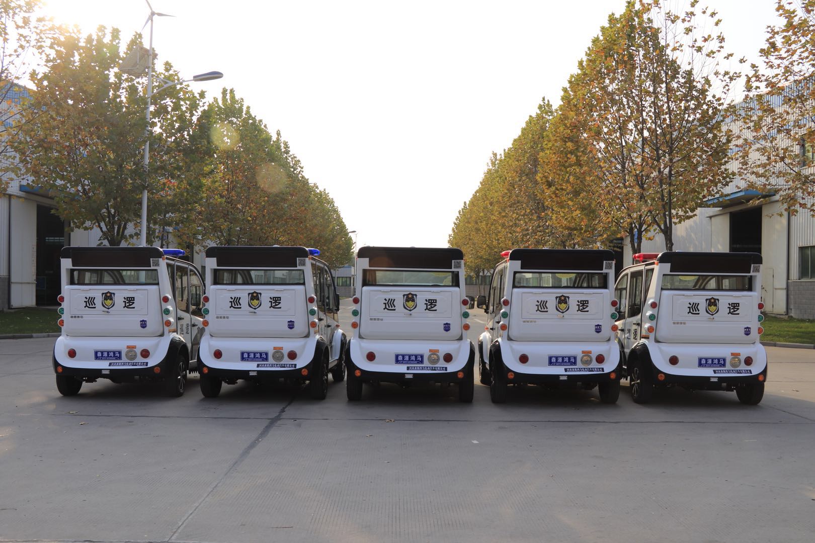 机动灵活 快速反应||青海杂多县公安局通过公安部警采中心采购电动巡逻车(图5)