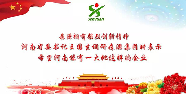 创新精神|河南省委书记王国生调研森源集团(图1)
