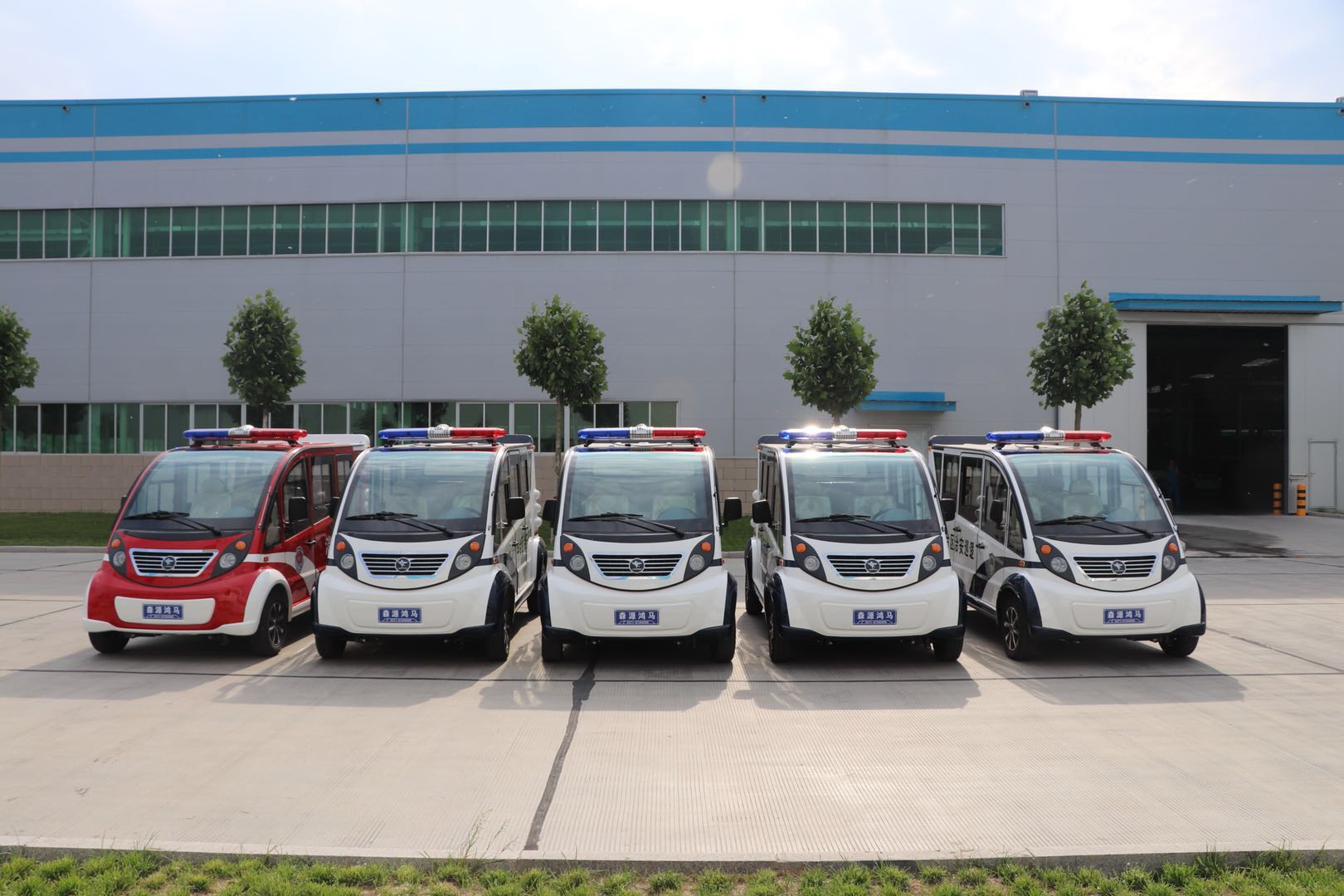 北京丰台区采购电动巡逻车(图1)