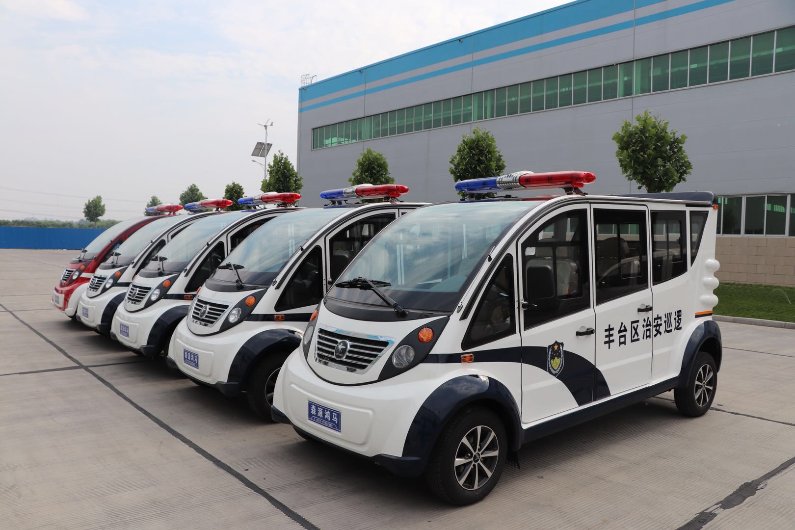 北京丰台区采购电动巡逻车(图2)