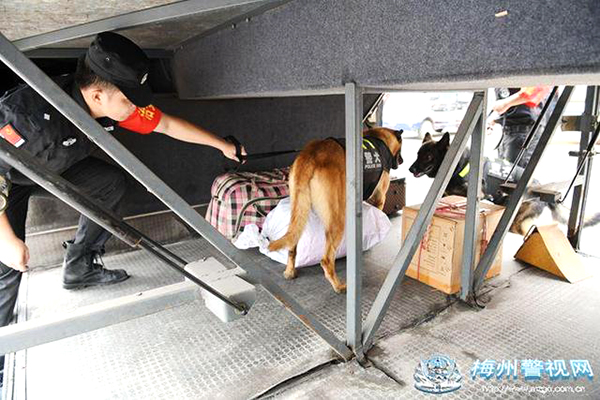 广东梅州:“警犬+移动警务车” 进一步提升街面见警率管事率(图4) 广东梅州:“警犬+移动警务车” 进一步提升街面见警率管事率(图4)