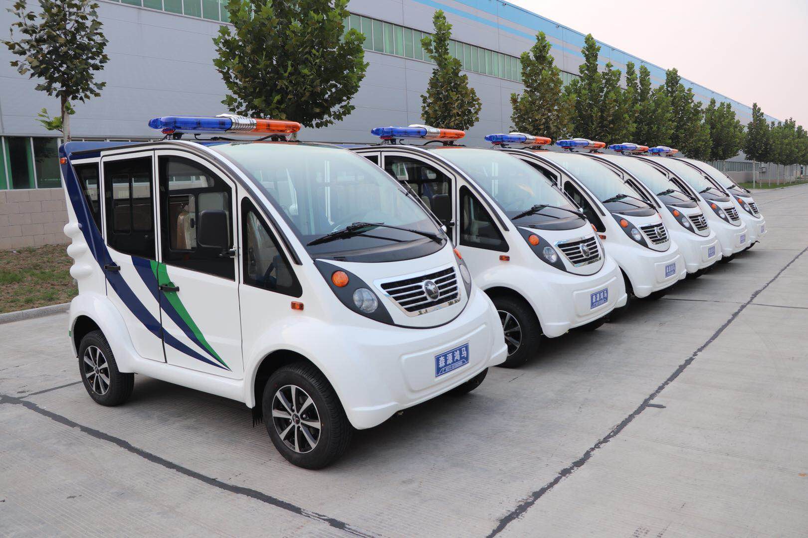 北京市东城区采购6台电动巡逻车(图2)