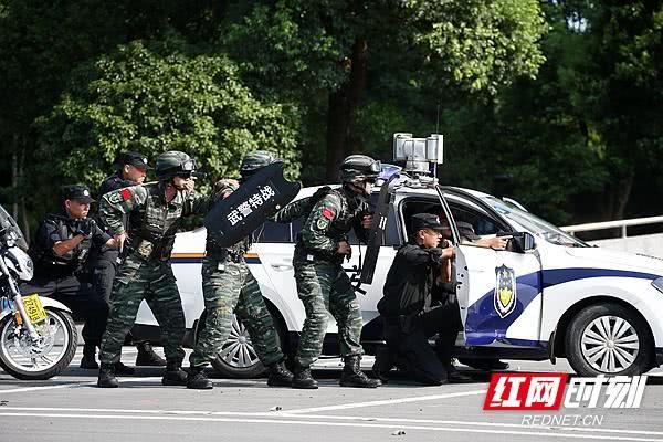 湘潭市举行“践行新使命 忠诚保大庆”实兵演练(图10)