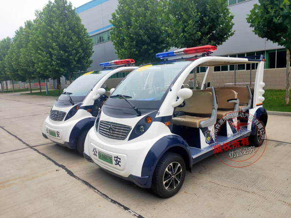 云南勐腊县采购电动巡逻车(图1)