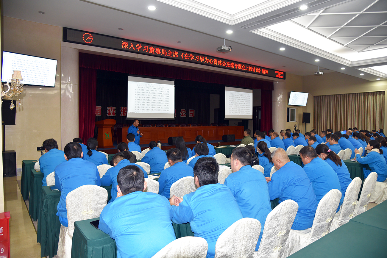 学华为精神 促高质量发展||森源鸿马召开《在学习华为心得体会交流专题会上的讲话》专题学习分享会(图15)