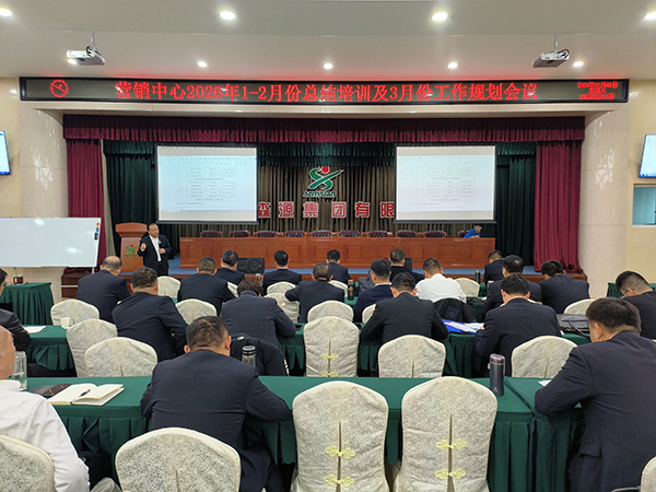 锚定目标强攻坚 凝心聚力拓市场 —— 森源鸿马营销中心召开总结培训动员会(图1)