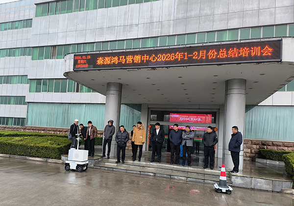 锚定目标强攻坚 凝心聚力拓市场 —— 森源鸿马营销中心召开总结培训动员会(图11)