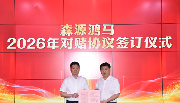 凝心聚力谋发展  锚准目标拓市场｜森源鸿马营销中心召开四月份总结培训会(图6)