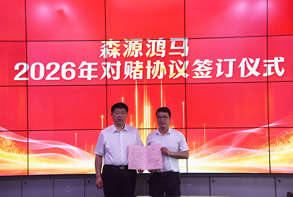 凝心聚力谋发展  锚准目标拓市场｜森源鸿马营销中心召开四月份总结培训会(图4)