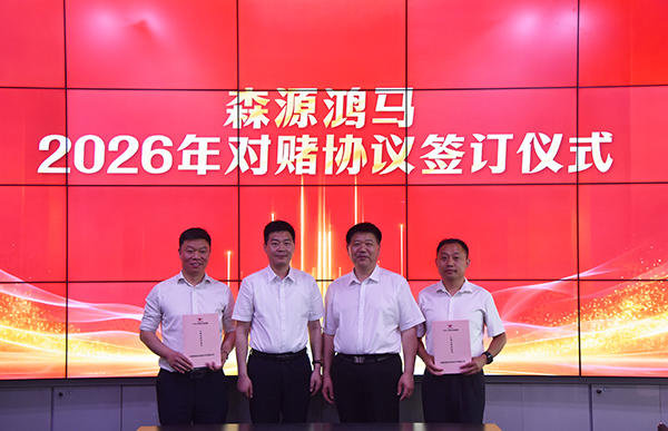 凝心聚力谋发展  锚准目标拓市场｜森源鸿马营销中心召开四月份总结培训会(图11)